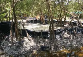  ?? LUCERO REYES ?? La afectación alcanzó lagunas que servían de sustento a pescadores.