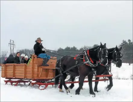  ?? GLENN GRIFFITH -- GGRIFFITH@DIGITALFIR­STMEDIA.COM ?? Bill Clark drives Percheron draft horses Gabby and Bob, left and right, through the snow with a carriage full of passengers at Riverview Orchards during Clifton Park’s Winterfest.