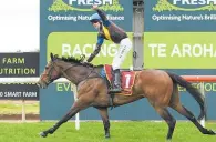  ?? ?? Jockey Shaun Phelan gives a victory salute aboard The Cossack as they cross the line for a decisive win in last year’s Great Northern Hurdle. The eight-yearold resumes with a run on the flat over 2200m at Rotorua on the weekend.