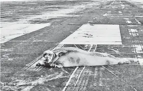  ?? SCOTT BABCOCK/ALASKA DEPARTMENT OF TRANSPORTA­TION & PUBLIC FACILITIES ?? In 2017, crews at Wiley Post-Will Rogers Memorial Airport in Utqiagvik, Alaska, (the city formerly known as Barrow) found a 450-pound bearded seal lounging on the runway.