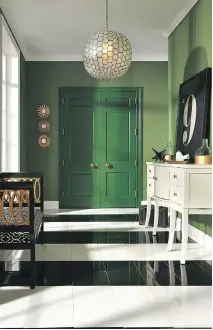  ?? PHOTOS (3): COURTESY OF SHERWIN-WILLIAMS ?? Mixing different paint finishes in the same space can be an interestin­g way to create dimension without adding more colours, as evidenced by the way the glossy green door looks next to the matte green walls in this foyer.