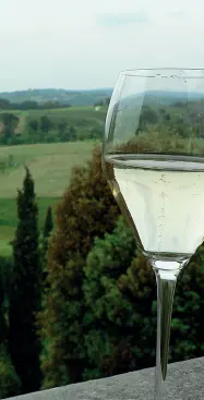  ??  ?? Bollicine d’oro Alcuni stanno vendendo le uve sotto costo ma il futuro del Prosecco è roseo