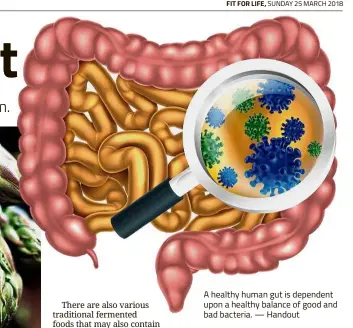  ?? — Handout ?? A healthy human gut is dependent upon a healthy balance of good and bad bacteria.