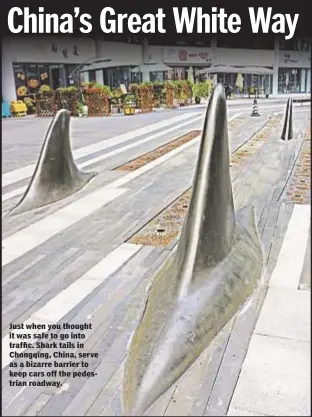  ??  ?? Just when you thought it was safe to go into traffic. Shark tails in Chongqing, China, serve as a bizarre barrier to keep cars off the pedestrian roadway.