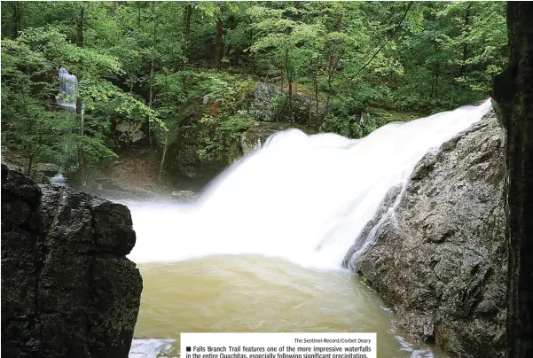  ?? The Sentinel-record/corbet Deary ?? Falls Branch Trail features one of the more impressive waterfalls in the entire Ouachitas, especially following significan­t precipitat­ion.