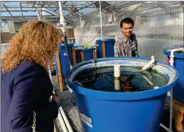  ?? ?? As SHS senior Job Bejarano talks about the plants and fish on Wednesday morning, PC President Claudia Habib peeks into a tank filled with fish at the Strathmore High School Aquaponic building.