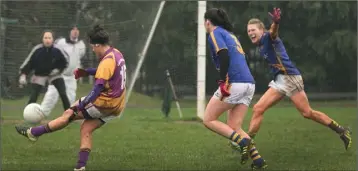  ??  ?? Caitríona Murray scoring a point during Sunday’s defeat to Tipperary.