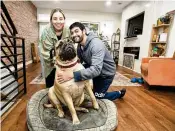  ?? CHARLES FOX / PHILADELPH­IA INQUIRER ?? Ralphie, a bullmastif­f, reached about 30% overweight.
He’s lost 10 pounds but he and owners Bill Polish and Cassie Laudon still have work to do.