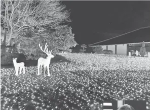  ?? — Gambar Bernama ?? TARIKAN PELANCONG: Taman menjadi indah dengan hiasan lampu berwarna biru terang serta patung rusa yang berkilau dengan lampu berwarna oren dalam satu acara di Nara Park, pada Februari setiap tahun.