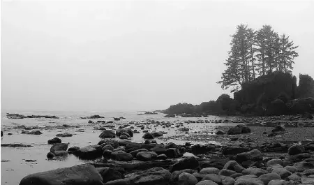  ?? PHOTOS: COLETTE DEROWIZ, POSTMEDIA NEWS ?? The fog sets in along the West Coast Trail, which extends 75 kilometres from end to end.