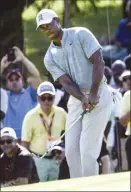  ?? AP photo ?? Tiger Woods chips up to the 11th green during the second round of the Tour Championsh­ip on Friday.