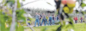  ?? FOTO: LENA REINER ?? Der Wanderweg führt durch Apfelplant­agen und durch die Kulturland­schaft am Bodensee.