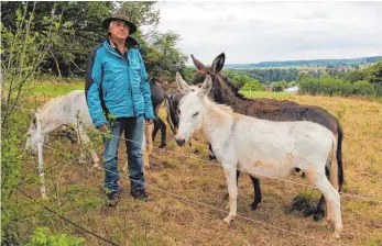  ?? SZ-FOTO: EILEEN KIRCHEIS ?? Bruno Roth vom Untermarch­taler Nabu kümmert sich um die Esel.