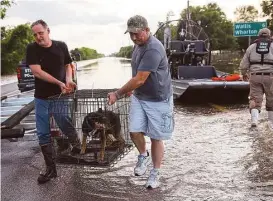  ?? Elizabeth Conley / Houston Chronicle ?? Simonton resident John Seger, left, is helped by his brother-in-law, Roger Merrill, as they carry Seger’s dog to safety. Area residents were ordered to evacuate.