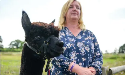  ?? ?? Helen Macdonald with Geronimo at Shepherds Close Farm in Gloucester­shire in August 2021. Photograph: Finnbarr Webster/Getty Images