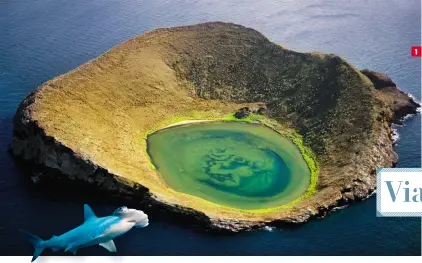  ??  ?? 1 (1) Isla Isabela, Galápagos. El Coloso de Constantin­o, Roma. (3) La Villa de Ian Fleming, Jamaica. Glaciar Serrano, Chile. (5) Pacuare Lodge, Costa Rica.