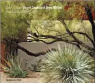  ?? THE MONACELLI PRESS VIA AP ?? This undated photo courtesy of The Monacelli Press shows the cover of the book “Desert Gardens of Steve Martino,” by Caren Yglesias.
