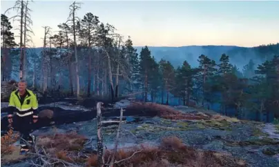  ?? FOTO: BAARD LARSEN, FROLENDING­EN ?? SVIDD: Slik så det ut i skogen på Mykland i går kveld ved 21-tiden. Mange trakk nok et lettelsens sukk da brannfolke­t mente de hadde fått kontroll på brannen.