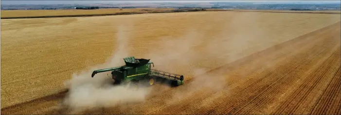  ?? Photo courtesy of Juanita Tuntland, Pattison Agricultur­e ?? A combine harvests the feed barley crop at the Lone Tree community project north of Swift Current.