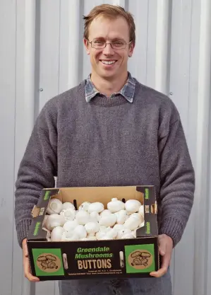  ??  ?? ABOVE / George with a box of White Button mushrooms ready for market.
OPPOSITE TOP / Mushroom mycelium – a fibrous collection of mushroom cells. OPPOSITE BOTTOM / Preparing the straw and chicken litter for compost.