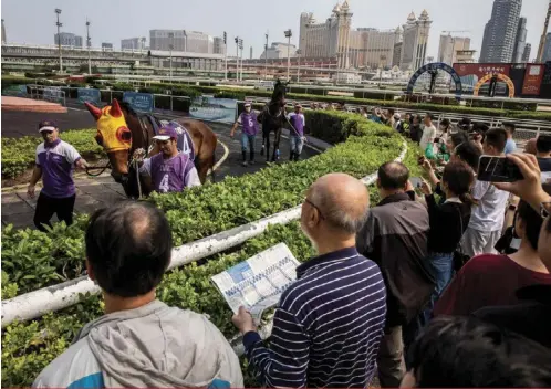  ?? This photo taken on March 17, 2024 shows members of the public watching horses in the parade ring at the Macau Jockey Club. On April 1, horse racing in the southern Chinese casino hub will be consigned to history following an official announceme­nt in Janu ??