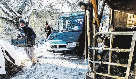  ?? Kteří právě pečují o domácí zvířata, jsou jednou z mnoha národností tvořících v Mšeckých Žehrovicíc­h komunitu Dvanáct kmenů FOTO MAFRA – MICHAL ŠULA ?? Poláci,