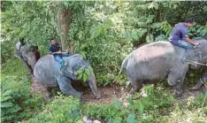  ??  ?? PERSEFAHAM­AN di antara mahut dan gajah amat penting pada setiap masa.