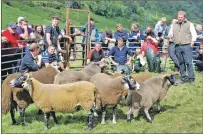  ?? 06_ sheepshow0­9 ?? Tensions rise as the overall champion is selected.