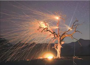  ?? Kent Porter Santa Rosa Press Democrat ?? A METEOR streaks across the sky as the wind blows embers from a burned tree near Healdsburg, Calif., early Wednesday. Gusts in the valleys near the Kincade fire have weakened, allowing firefighte­rs to make progress.