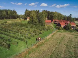  ?? JOHAN LJUNGQVIST/MULTIFOTO
FOTO: ?? Råbäck gård använder sig av så kallat partnerska­psjordbruk, vilket innebär att kunden är andelsägar­e i odlingen och får sin egen skörd varje höst.