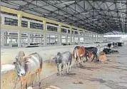  ?? HT ?? Constructi­on of animal hospitals at Kanha Upvan and Garhara have been affected as some tenders could not be floated