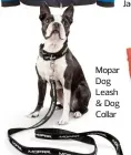  ??  ?? Mopar Dog Leash & Dog Collar