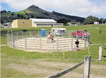  ??  ?? The round pens are just one option available from Fred’s Fencing.