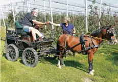  ?? FOTO: NIK ?? Manfred Wörmer bekommt einen Apfel für Pony Petty geschenkt.