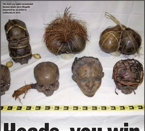  ??  ?? The feds say eight ceremonial human skulls were illegally imported by an artist in California in 2014.