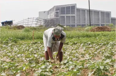  ?? (Rupak De Chowdhuri/Reuters) ?? A FARMER WORKS in a field next to the closed Tata Motors Nano car factory in Singur, north of Kolkata, India, last month.