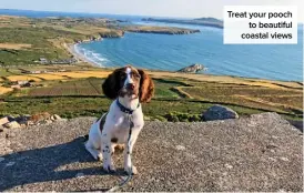  ??  ?? Treat your pooch to beautiful coastal views