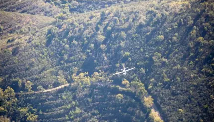  ?? ?? Avioneta foi vigiada pela Força Aérea até aterrar num troço inacabado da A26