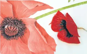  ??  ?? Poppies have become the symbol of the troops killed in the horror of WWI