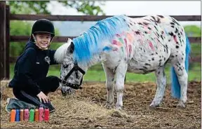  ??  ?? La polémique a démarré sur Facebook après une activité autour du poney.