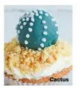  ??  ?? Cactus