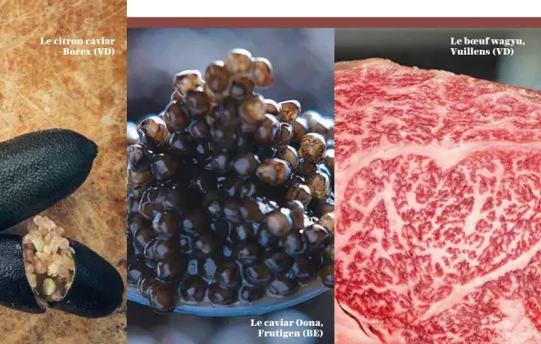  ??  ?? Le citron caviar Borex (VD)
Le caviar Oona, Frutigen (BE)
Le boeuf wagyu, Vuillens (VD)