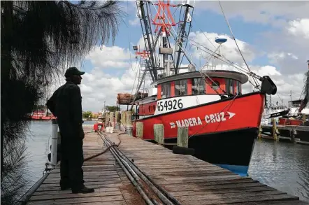  ?? Jerry Lara / San Antonio Express-News ?? Carlos Zavala, 60, has been shrimping for 18 years. The Brownsvill­e-Port Isabel shrimping fleets uses up to 500 H2B visa yearly but could come up a few hundred short this year.
