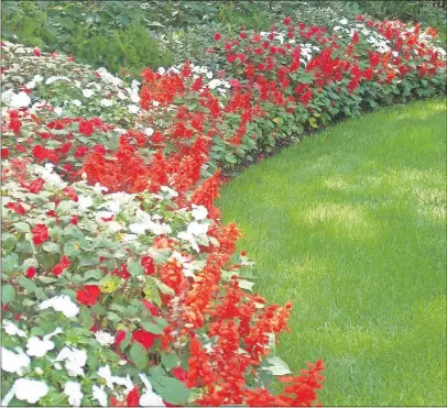  ?? [JAN JOHNSEN/”GARDENTOPI­A” PHOTOS] ?? Beds with curving shapes, such as this one featuring colorful annuals, are inherently inviting.