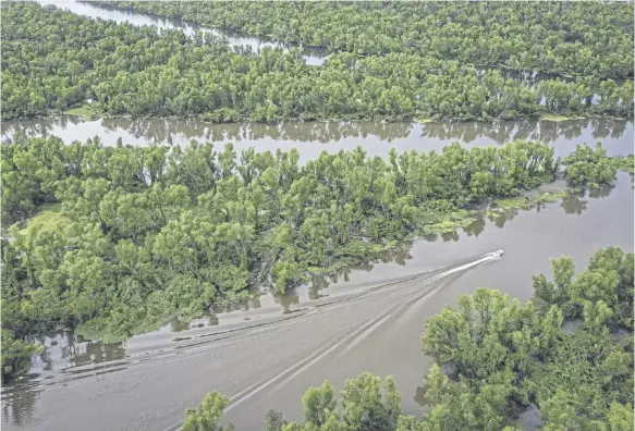  ?? PICTURE: GETTY IMAGES ?? Tens of thousands of metric tons of nitrate and phosphorus flow down the Atchafalay­a river (pictured) and the Mississipp­i into the Gulf of Mexico