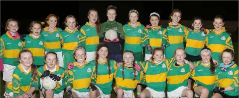  ??  ?? The Gaelscoil Loch Garman squad before their final defeat.