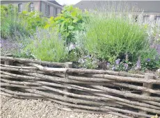  ??  ?? French wattle fencing caught the imaginatio­n of many gardeners for a time and can be quite charming.