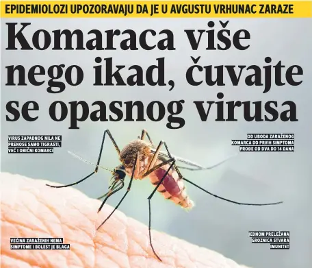  ??  ?? virus zapadnog nila ne prenose samo tigrasti, veĆ i obiČni komarci veĆina zaraženih nema simptome i bolest je blaga od uboda zaraženog komarca do prvih simptoma proĐe od dva do dana jednom preležana groznica stvara imunitet