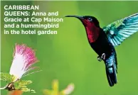  ??  ?? CARIBBEAN QUEENS: Anna and Gracie at Cap Maison and a hummingbir­d in the hotel garden