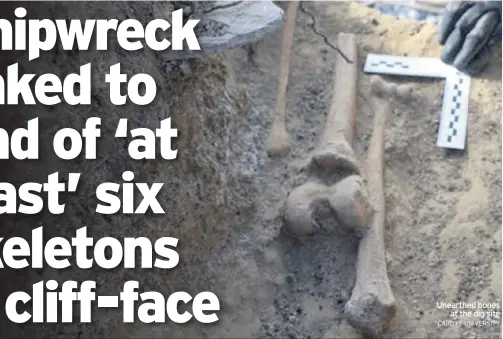  ?? CARDIFF UNIVERSITY ?? Unearthed bones at the dig site